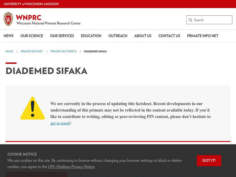 University of Wisconsin: Diademed Sifaka Handout University of Wisconsin: Diademed Sifaka Handout