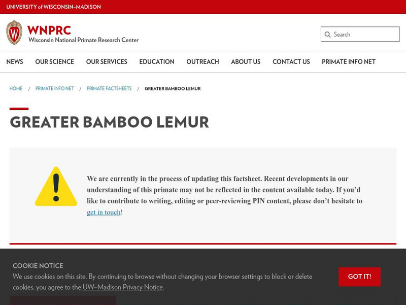 University of Wisconsin: Bamboo Lemur Handout University of Wisconsin: Bamboo Lemur Handout