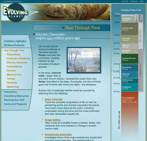 Field Museum: Exhibits: Evolving Planet: Silurian and Devonian Website Field Museum: Exhibits: Evolving Planet: Silurian and Devonian Website