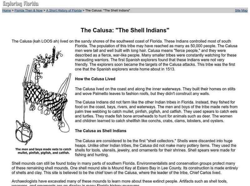 Florida Center for Instructional Technology: The Calusa: "The Shell Indians" Website Florida Center for Instructional Technology: The Calusa: "The Shell Indians" Website