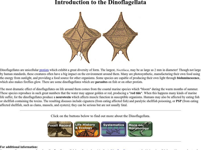 Ucmp: Dinoflagellates Website Ucmp: Dinoflagellates Website