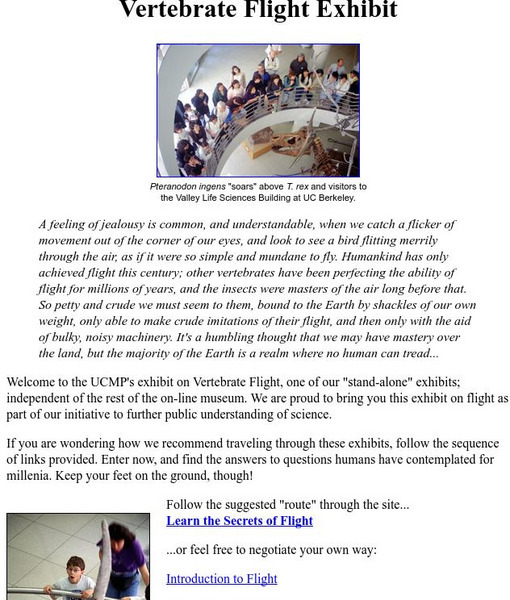 Ucmp: Entrance to the Vertebrate Flight Exhibit Handout Ucmp: Entrance to the Vertebrate Flight Exhibit Handout