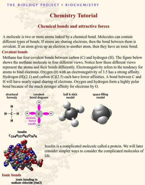 University of Arizona: Bonds Tutorial Handout University of Arizona: Bonds Tutorial Handout