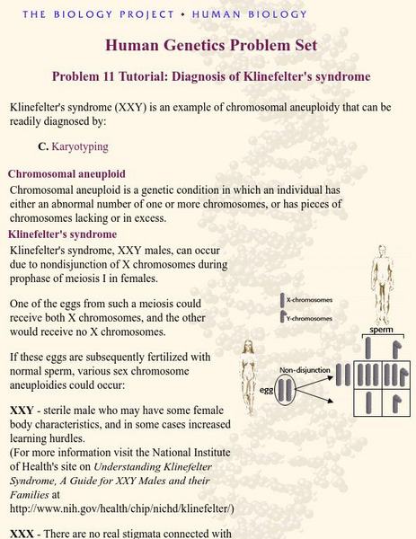 Ua: Diagnosis of Klinefelter's Syndrome Handout Ua: Diagnosis of Klinefelter's Syndrome Handout
