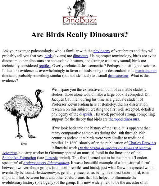 Ucmp: Are Birds Really Dinosaurs? Primary Ucmp: Are Birds Really Dinosaurs? Primary