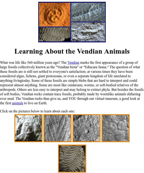 Ucmp: Learning About Vendian Animals Website Ucmp: Learning About Vendian Animals Website