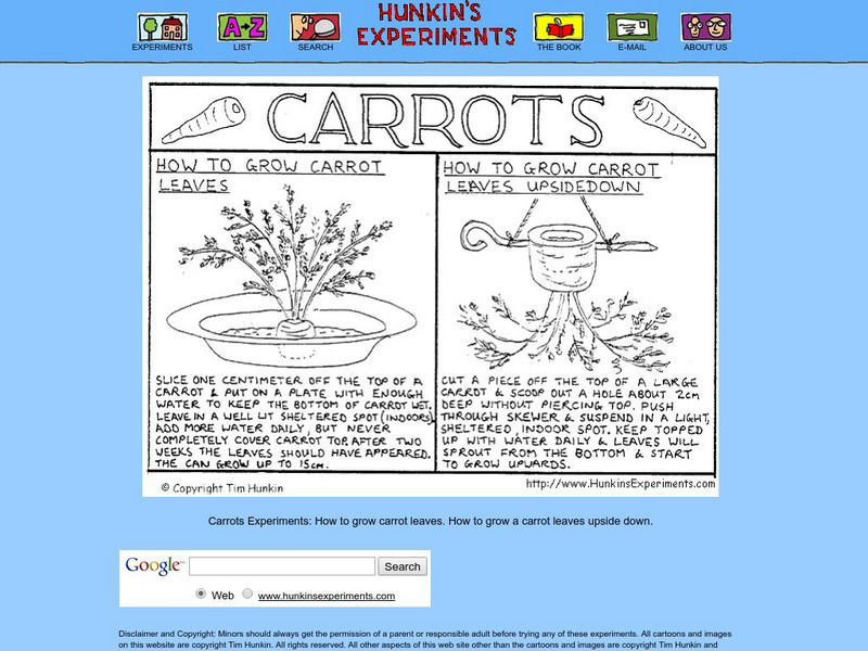 Hunkin's Experiments: How to Grow Carrot Leaves Graphic Hunkin's Experiments: How to Grow Carrot Leaves Graphic
