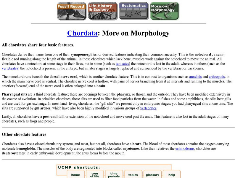 Ucmp: More on Morphology Handout Ucmp: More on Morphology Handout