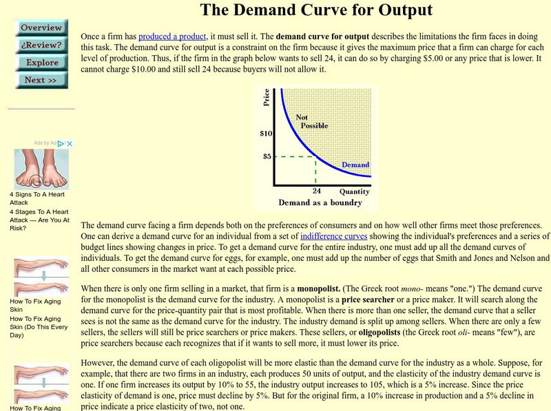Cyber Economics: The Demand Curve for Output eBook Cyber Economics: The Demand Curve for Output eBook