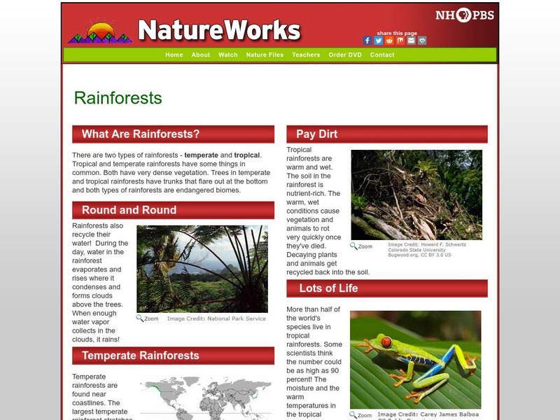 Nh Pbs: Nature Works: Rainforests Handout Nh Pbs: Nature Works: Rainforests Handout