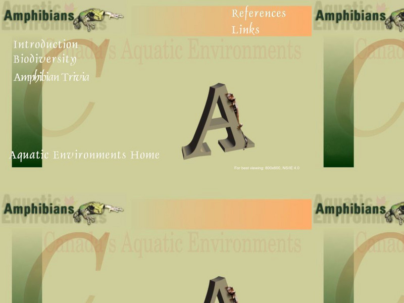 Aquatic Environments: Amphibians Activity Aquatic Environments: Amphibians Activity