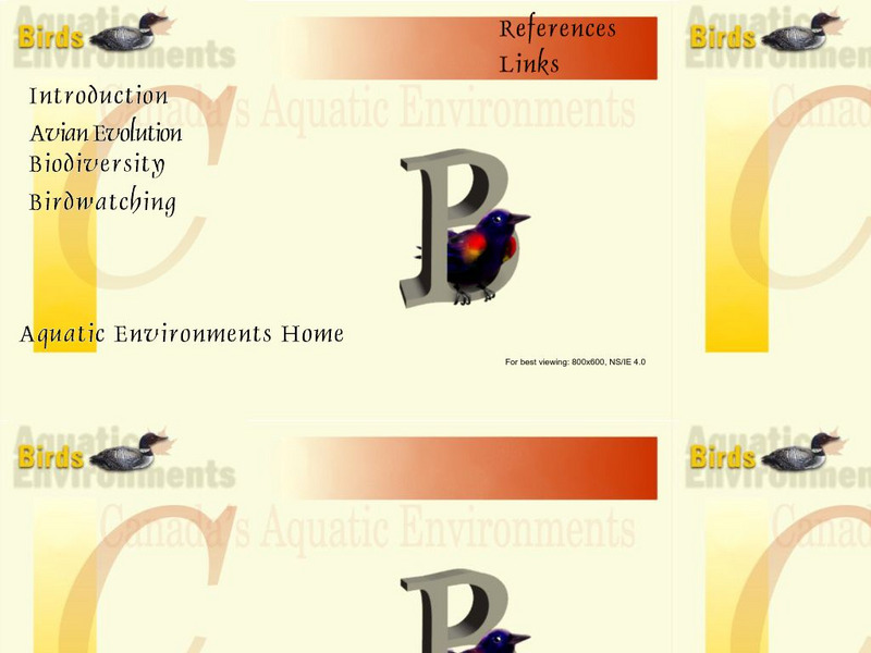 Aquatic Environments: Birds Activity Aquatic Environments: Birds Activity