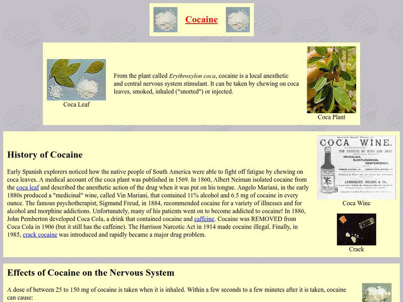 Neuroscience for Kids: Cocaine Handout Neuroscience for Kids: Cocaine Handout