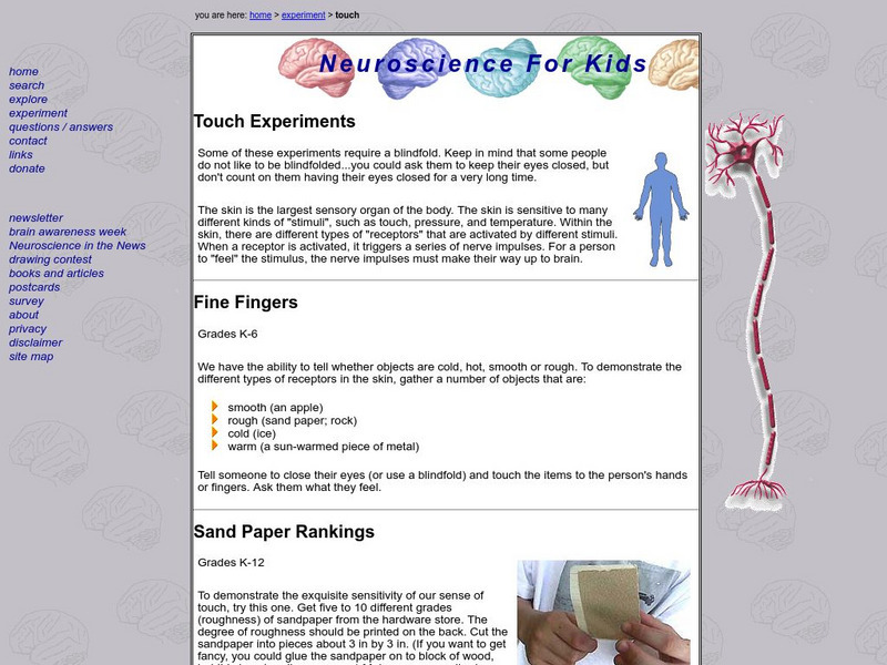 University of Washington: The Senses Touch Lesson Plan University of Washington: The Senses Touch Lesson Plan