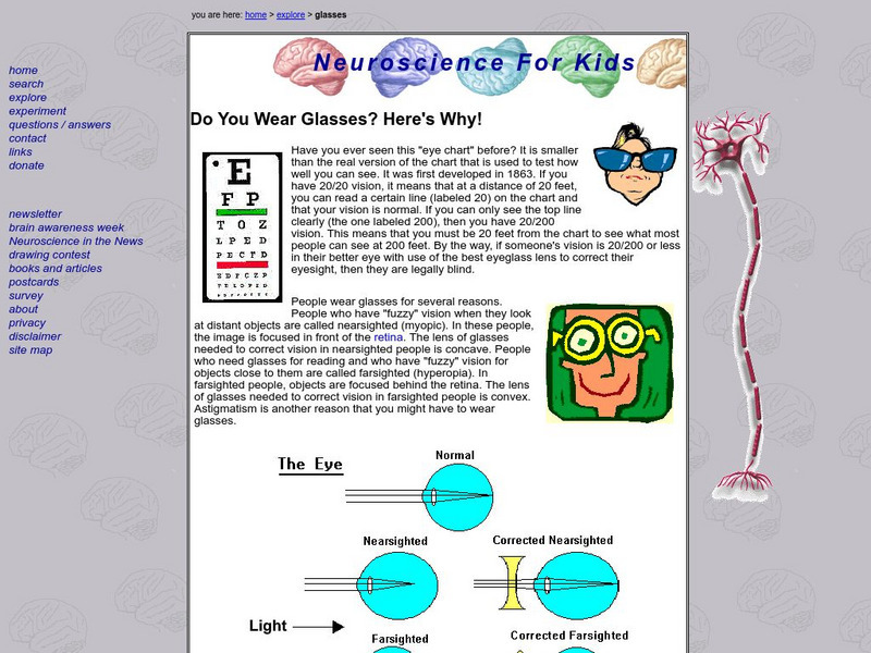 Neuroscience for Kids: Do You Wear Glasses? Handout Neuroscience for Kids: Do You Wear Glasses? Handout