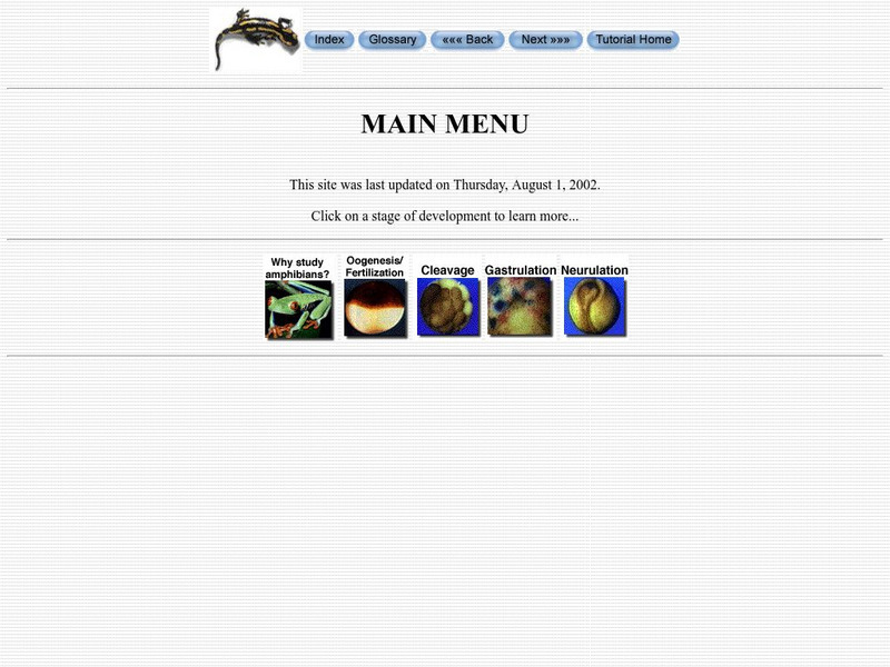 University of Wisconsin: Amphibian Embryology Activity University of Wisconsin: Amphibian Embryology Activity