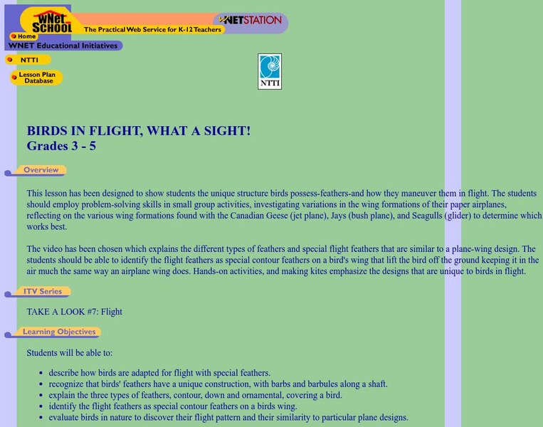 Wnet: Thirteen: Birds in Flight, What a Sight! Lesson Plan Wnet: Thirteen: Birds in Flight, What a Sight! Lesson Plan