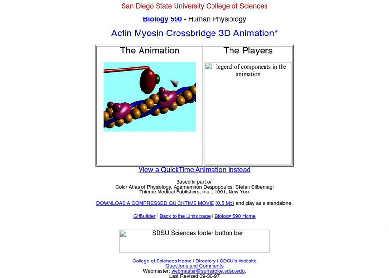 Actin Myosin Crossbridge 3 D Animation Graphic Actin Myosin Crossbridge 3 D Animation Graphic