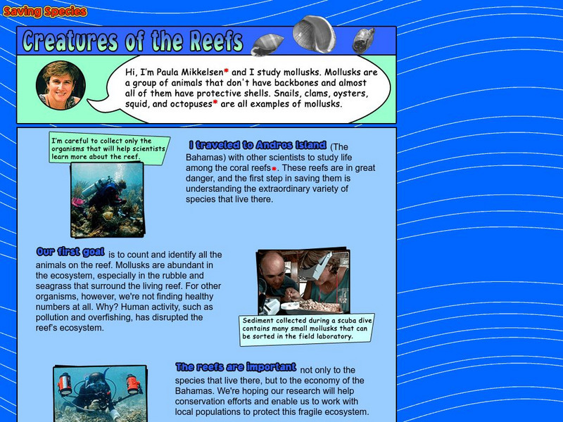 American Museum of Natural History: O Logy: Bahamas: Creatures of the Reefs Handout American Museum of Natural History: O Logy: Bahamas: Creatures of the Reefs Handout