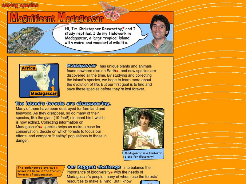 American Museum of Natural History: O Logy: Magnificent Madagascar Activity American Museum of Natural History: O Logy: Magnificent Madagascar Activity