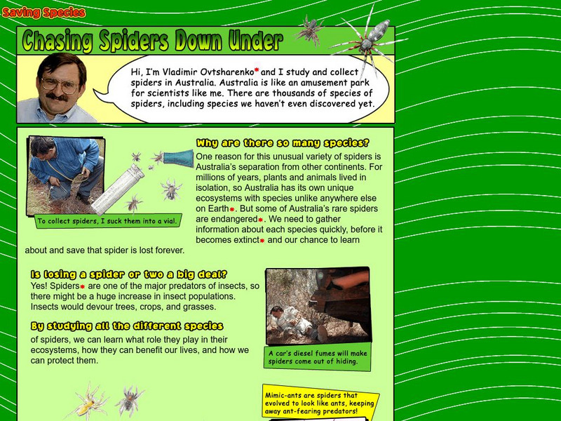 American Museum of Natural History: O Logy: Chasing Spiders Down Under Interactive American Museum of Natural History: O Logy: Chasing Spiders Down Under Interactive