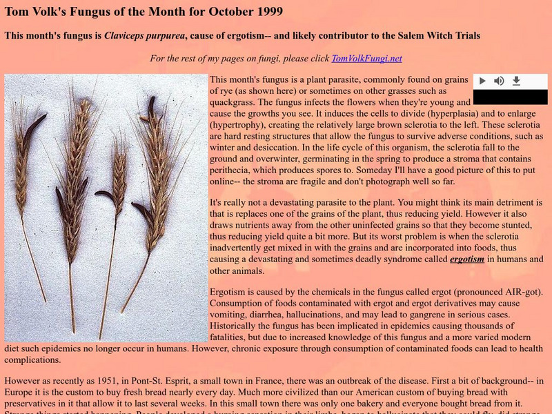 University of Wisconsin: Fungus of the Month Website