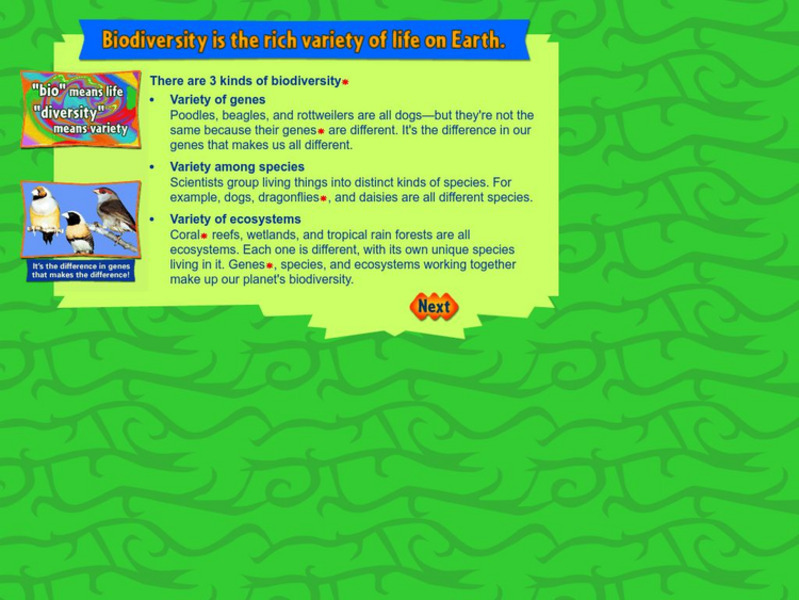 American Museum of Natural History: Ology: Kinds of Biodiversity Graphic American Museum of Natural History: Ology: Kinds of Biodiversity Graphic