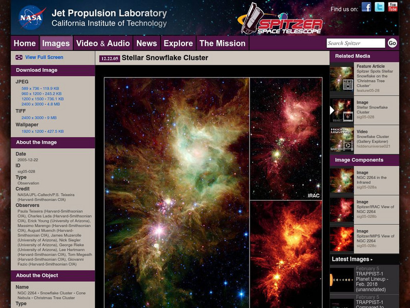 Spitzer Science Center: Stellar Snowflake Cluster Website Spitzer Science Center: Stellar Snowflake Cluster Website