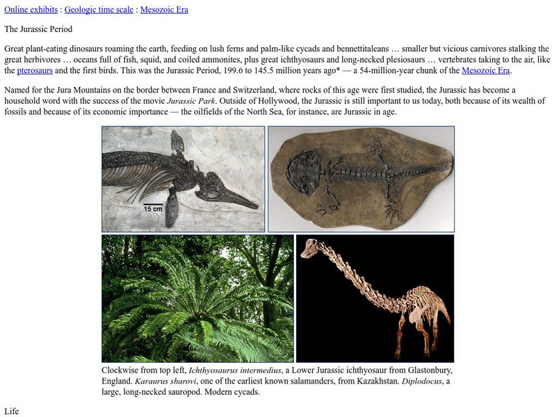Ucmp: The Jurassic Period, 208 to 146 Million Years Ago Website Ucmp: The Jurassic Period, 208 to 146 Million Years Ago Website