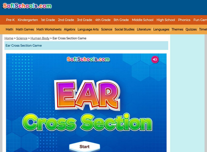 Soft Schools: Ear Cross Section Interactive Soft Schools: Ear Cross Section Interactive