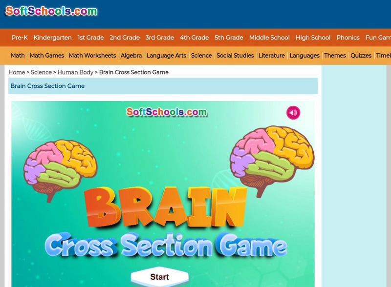 Soft Schools: Brain Cross Section Game Interactive Soft Schools: Brain Cross Section Game Interactive