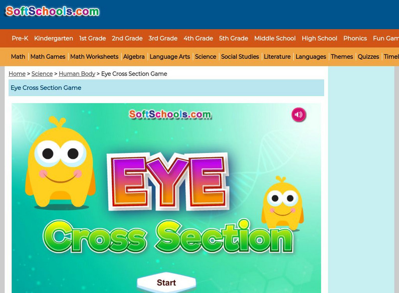 Soft Schools: Eye Cross Section Interactive Soft Schools: Eye Cross Section Interactive