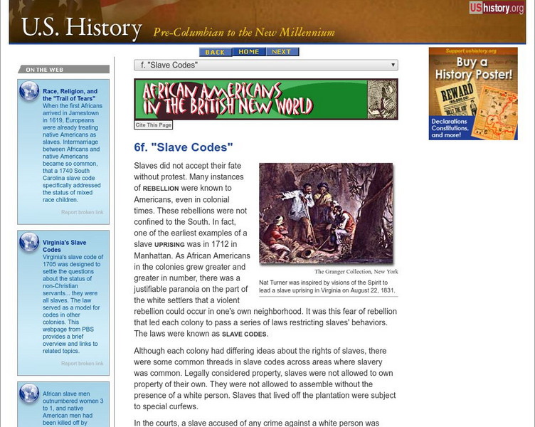 U.s. History: African Americans in the British New World: Slave Codes Website U.s. History: African Americans in the British New World: Slave Codes Website