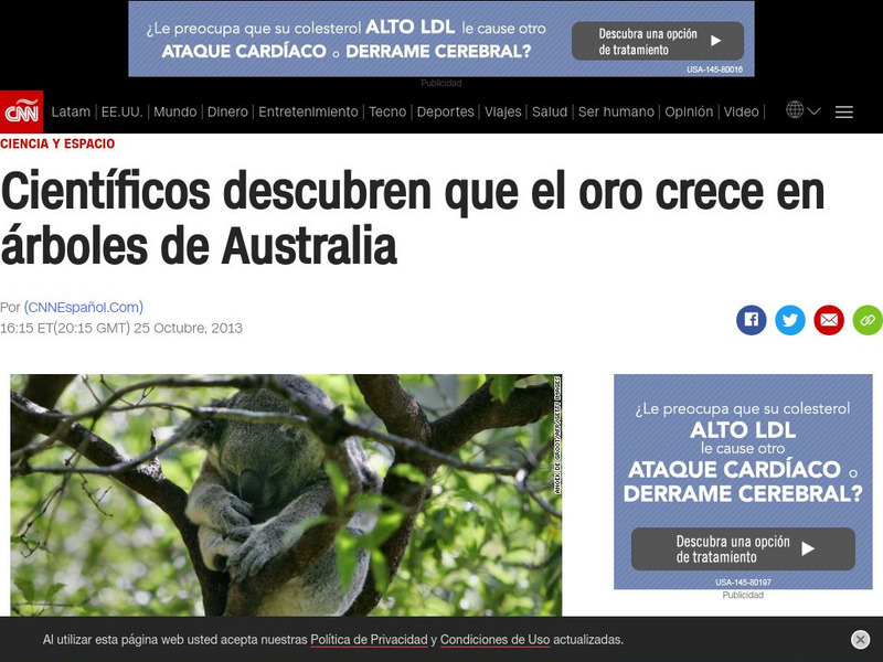 Cnn en Espanol: Cientficos Descubren Que El Oro Crece en Arboles Article Cnn en Espanol: Cientficos Descubren Que El Oro Crece en Arboles Article