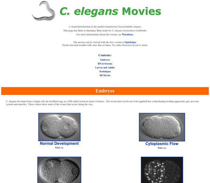 The Goldstein Lab: Caenorhabditis Elegans Movies Instructional Video