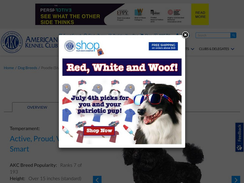 American Kennel Club: Poodle Handout
