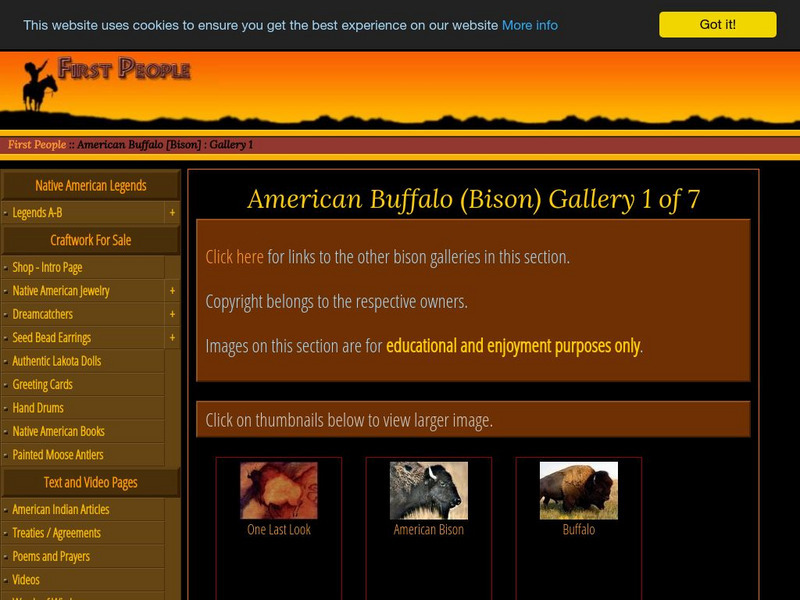 American Buffalo Graphic