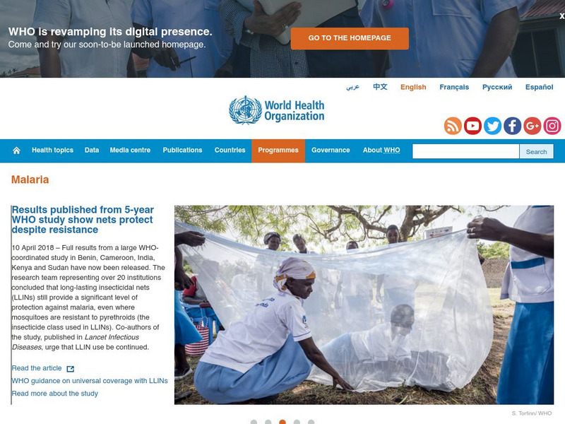 World Health Organization: Malaria Handout World Health Organization: Malaria Handout