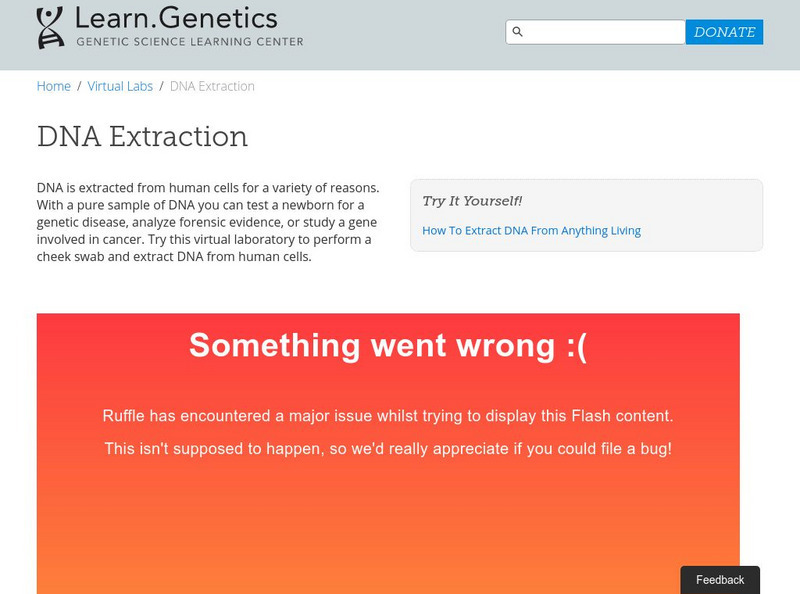 University of Utah: Learn Genetics: How to Extract Dna From Anything Living Interactive University of Utah: Learn Genetics: How to Extract Dna From Anything Living Interactive