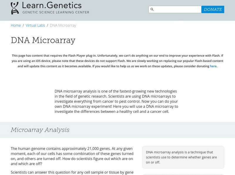 University of Utah: Dna Mircoarray Virtual Lab Interactive University of Utah: Dna Mircoarray Virtual Lab Interactive