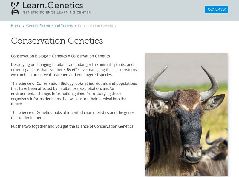 University of Utah: Learn Genetics: Conservation Genetics Website