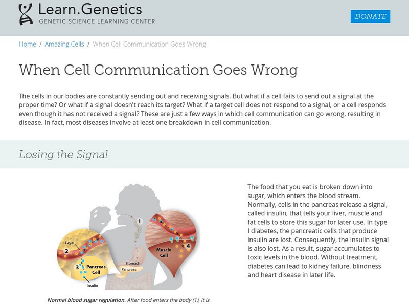 University of Utah: Learning Center: learn.genetics: Wrong Cell Communication Handout University of Utah: Learning Center: learn.genetics: Wrong Cell Communication Handout