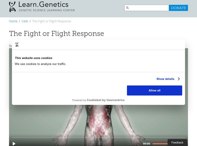 University of Utah: learn.genetics: The Flight or Fight Response Instructional Video University of Utah: learn.genetics: The Flight or Fight Response Instructional Video
