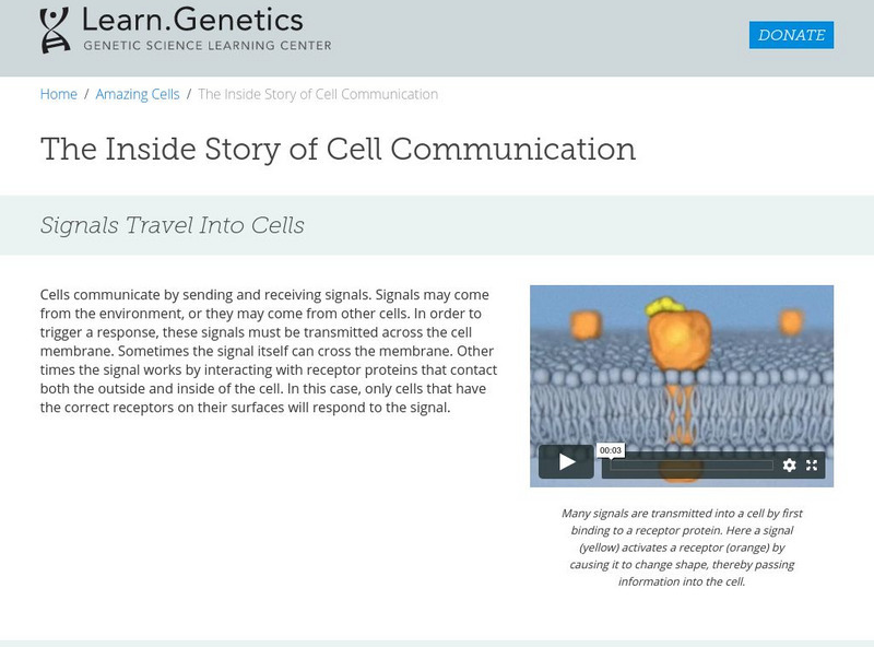 University of Utah: Genetics Learning Center: learn.genetics: Cell Communication Handout University of Utah: Genetics Learning Center: learn.genetics: Cell Communication Handout