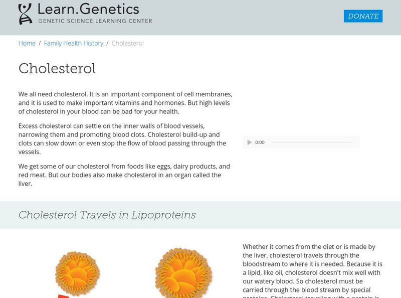 University of Utah: Learn. Genetics: Good and Bad Cholesterol Handout University of Utah: Learn. Genetics: Good and Bad Cholesterol Handout