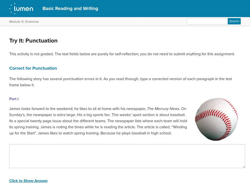 Lumen: Grammar: Try It: Punctuation Activity