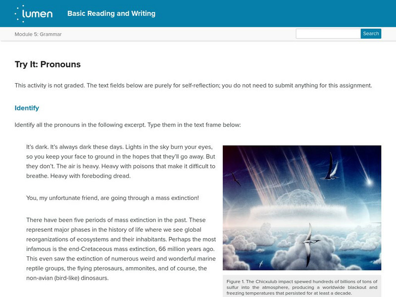 Lumen: Grammar: Try It: Pronouns Activity