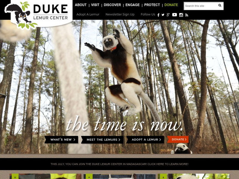 Duke University: Lemur Center Website Duke University: Lemur Center Website