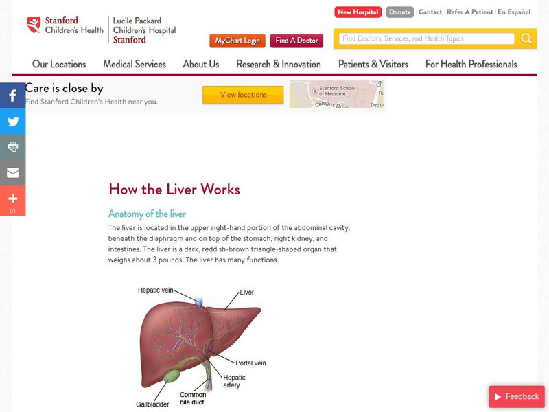 Stanford Children's Health: How the Liver Works Handout Stanford Children's Health: How the Liver Works Handout