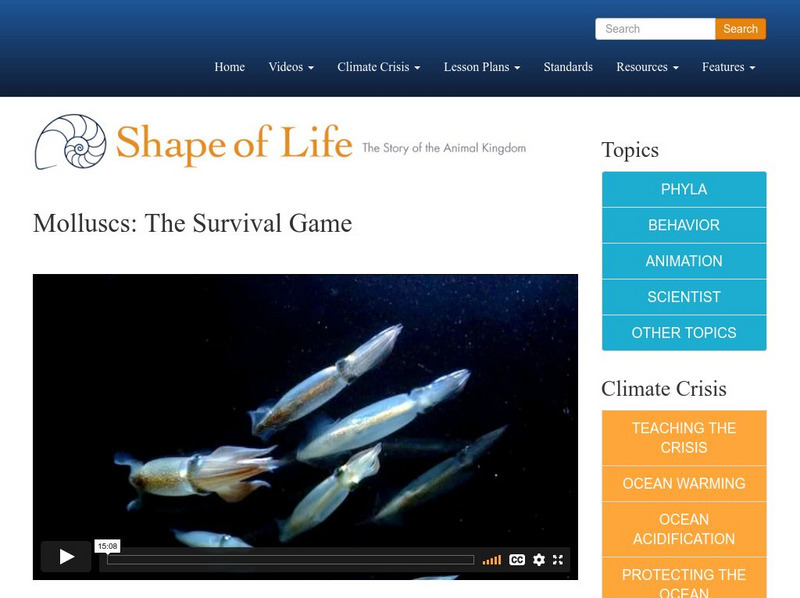 Shape of Life: Molluscs: The Survival Game Instructional Video Shape of Life: Molluscs: The Survival Game Instructional Video